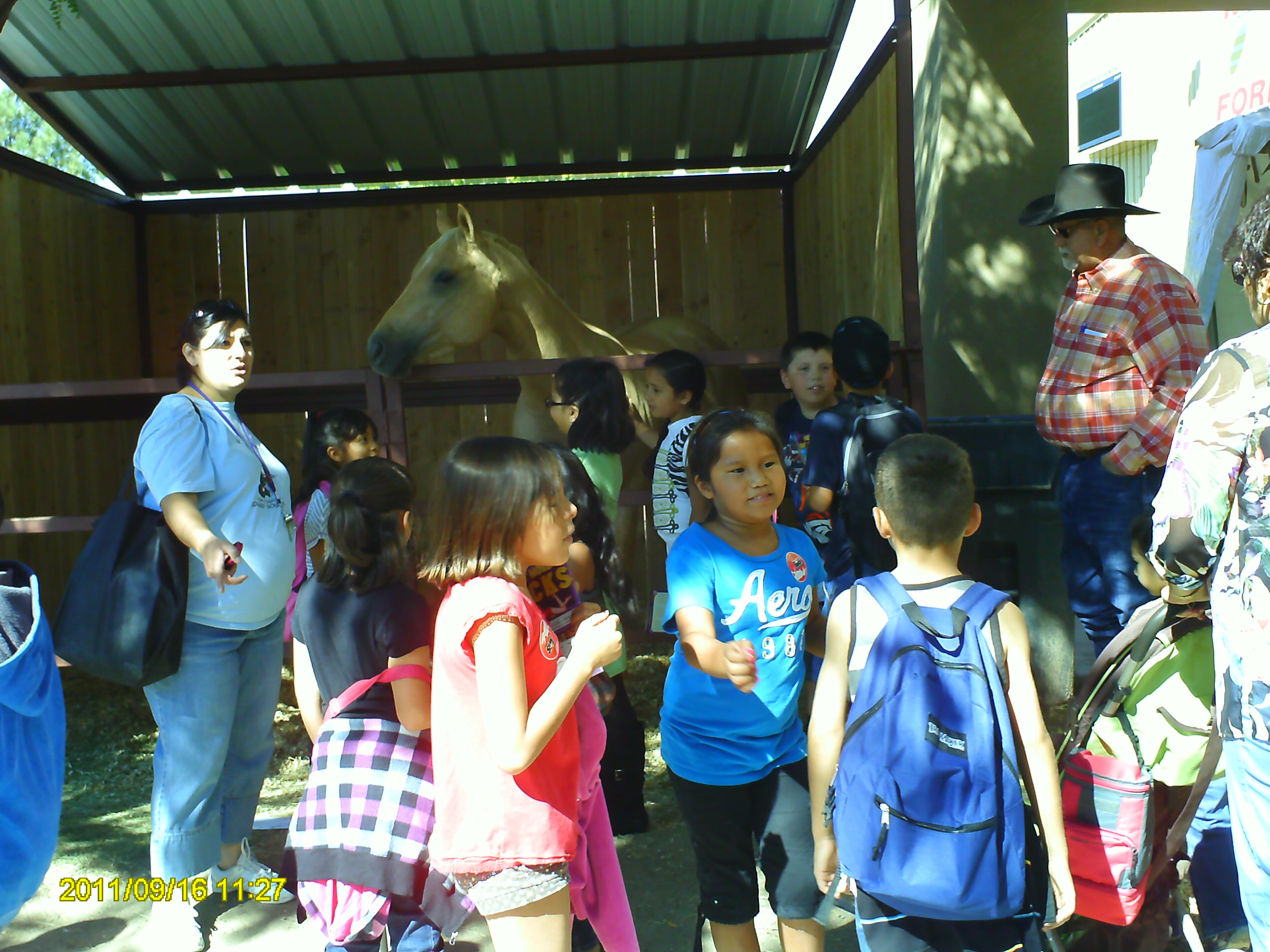 Horse"